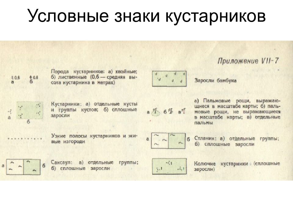 Является условным. Обозначение кустарника на топографической карте. Условный знак кустарник на плане местности. Заросли кустарника условный знак. Условныйьзнак кустарник.