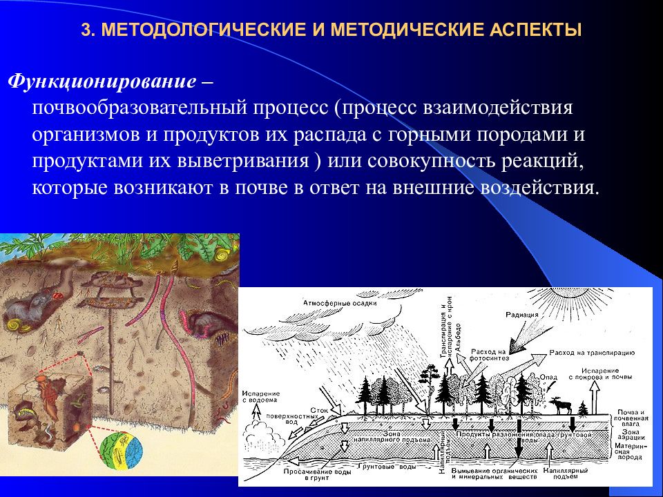 Курсовой проект по почвоведению