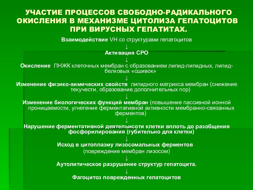 Процессы свободнорадикального окисления. Цитолиз при гепатите. Цитолиз гепатоцитов. Свободное радикальное окисление.