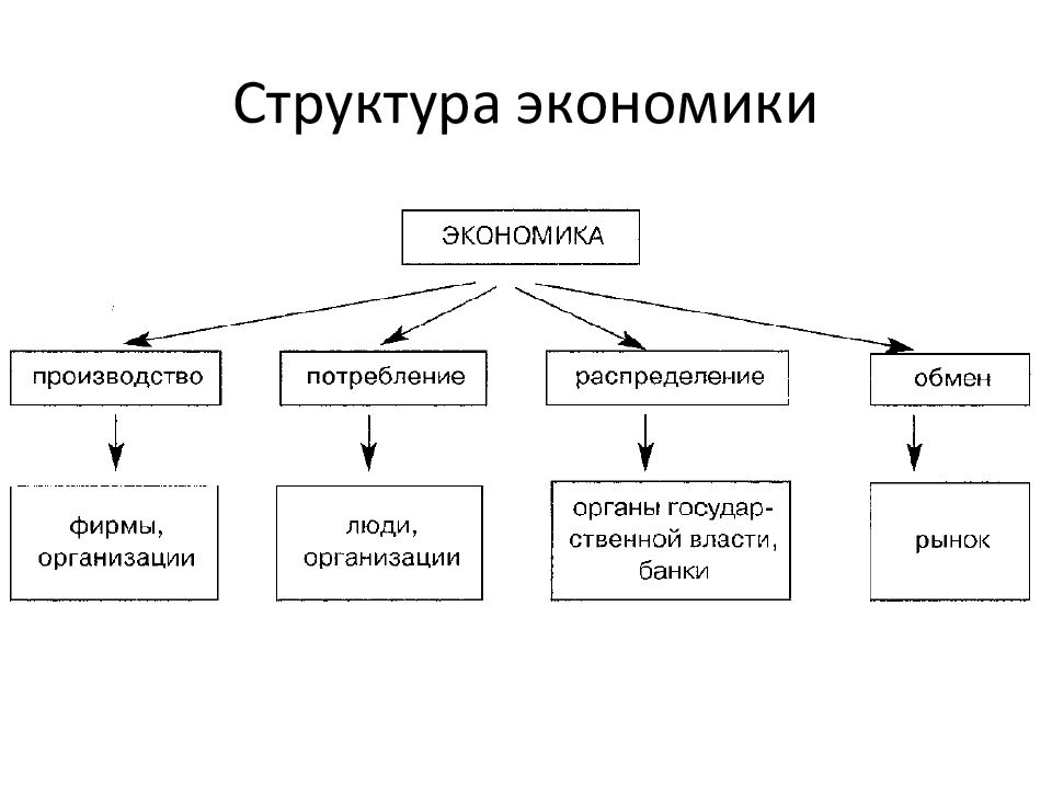 Схема структура хозяйства