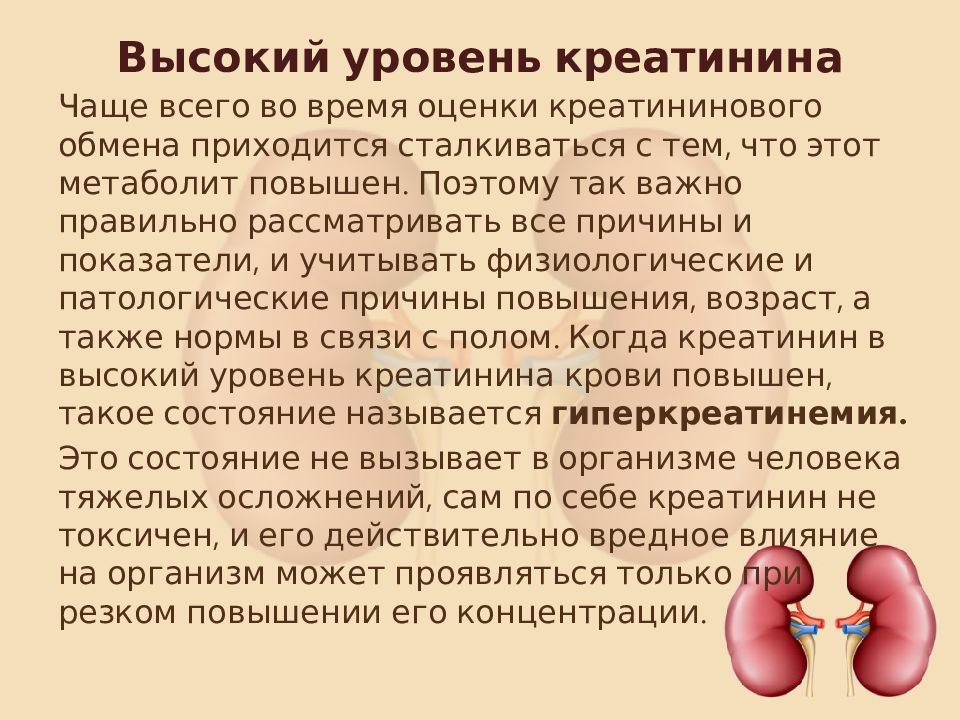 Что может в. Почки креатинин почки. Показатели почек креатинин. Почки показатели креатинина. Патология почек креатинин.