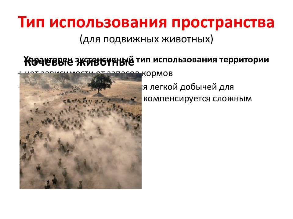 Демэкология это. 21. Демэкология (экология популяций).. Основатель популяционной экологии. Популяции являются объектом изучения демэкология и. Тип дисперсии в популяционной экологии.