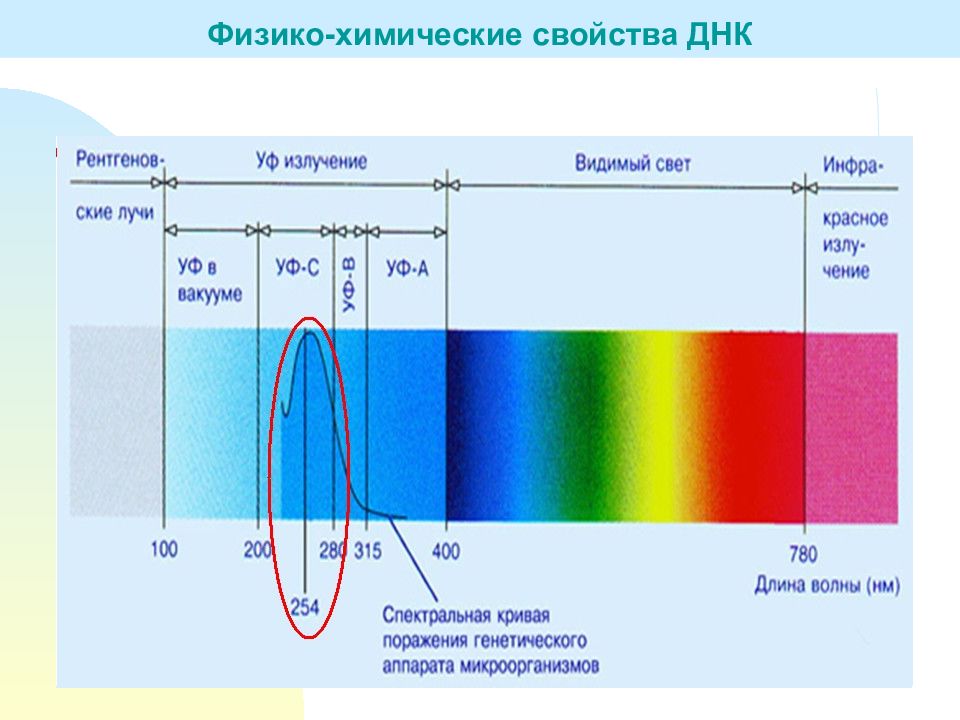 Красный световой луч с длиной волны 700. Диапазон длин волн рентгеновского излучения. Длина волны рентгеновского излучения. Рентгеновские лучи диапазон длин волн. Рентген диапазон длин волн.