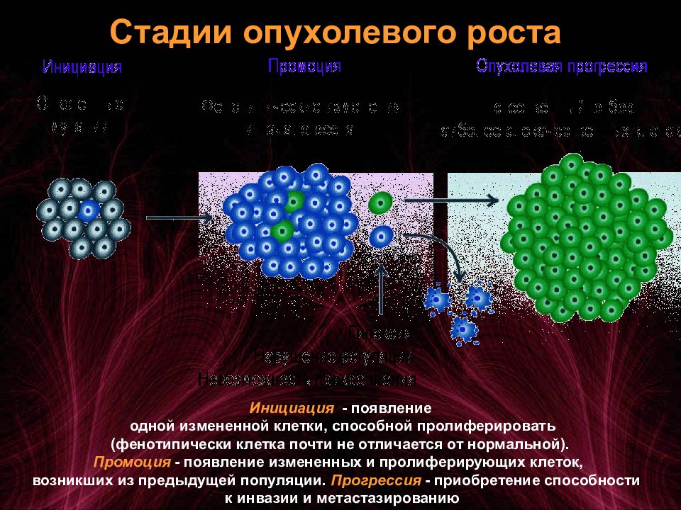 Патофизиология опухолевого роста презентация