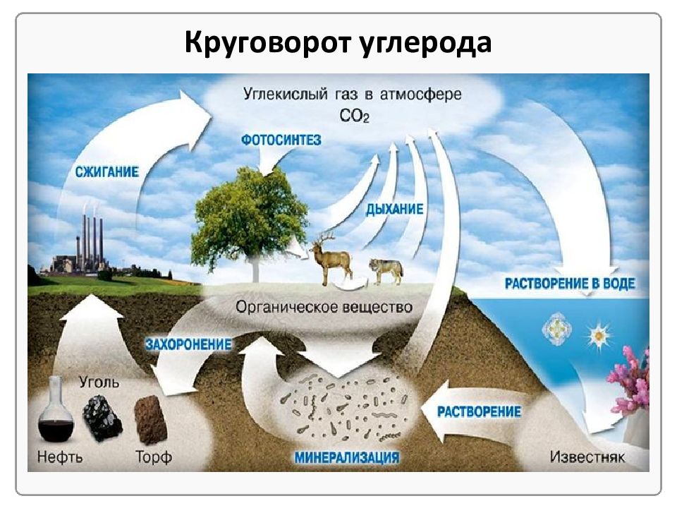 Биосфера круговорот веществ в биосфере презентация