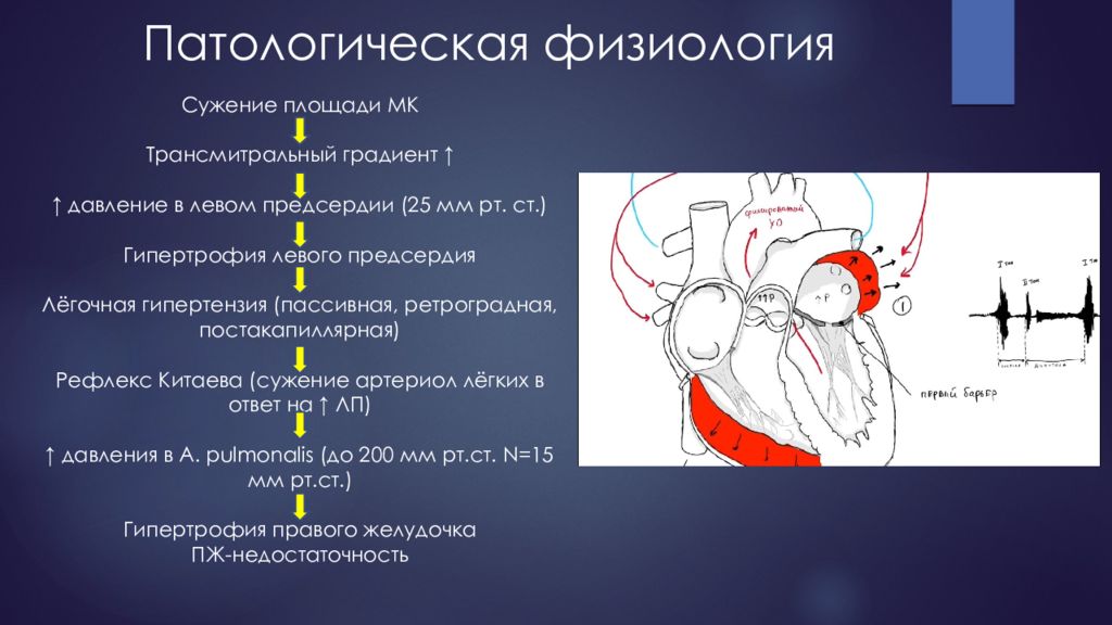 Патологии физиология. Патология физиология. Патфиза. Легочная гипертензия патофизиология. Гипертензии патфиз.