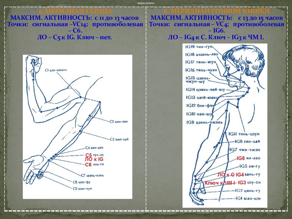 Точки час. Чжень Цзю меридианы. Чжень-Цзю терапия. Чжень-Цзю терапия точки. Меридианов тела человека презентация.