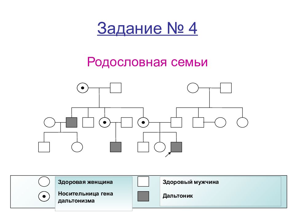 Составление родословной. Схема родословной генетика. Генеалогический метод схема родословной. Генеалогическое Древо по генетике цвет глаз. Родословная таблица генетика.