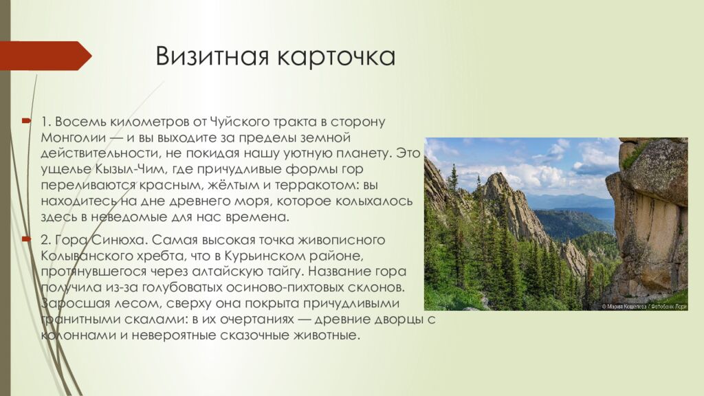 Визитная карточка