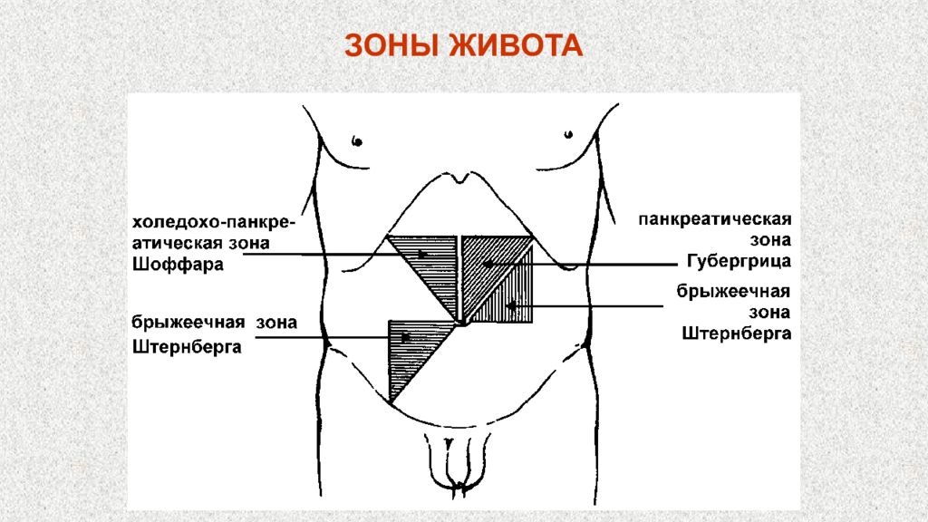 Зоны живота. Шоффара и Мейо Робсона. Зона Шоффара и Губергрица. Зона Шоффара пальпация. Зона Шоффара точки.