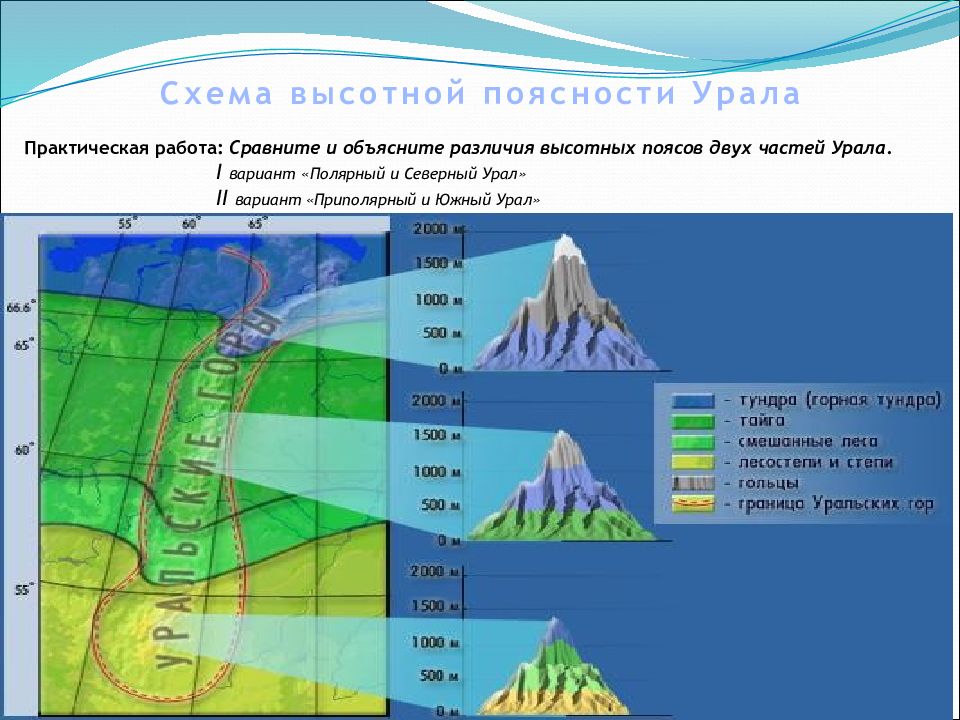 География 8 класс высотная поясность презентация 8 класс география