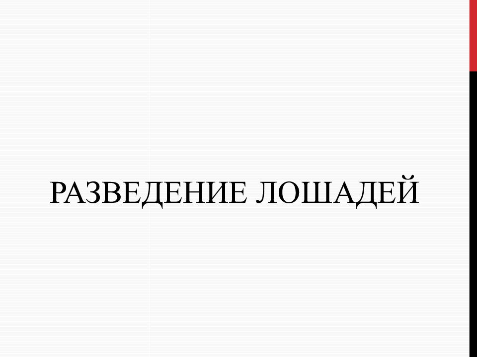 РАЗВЕДЕНИЕ ЛОШАДЕЙ