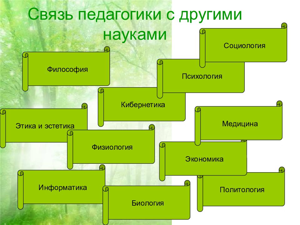 Связь педагогики с другими науками презентация