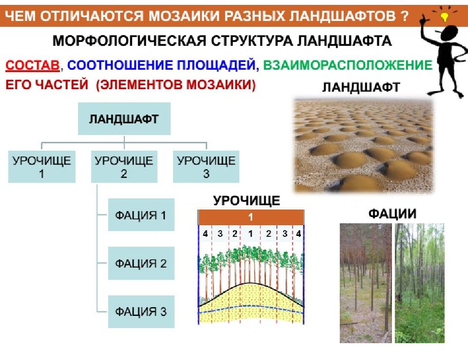 Как различаются геологическое строение и рельеф. Морена Геология. Морена география. Морена отличия Геология. Морены это в географии.