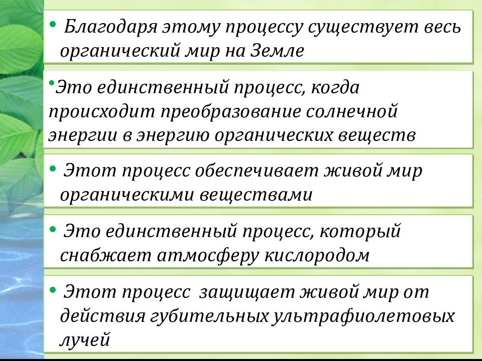 Благодаря этому процессу существует весь органический мир на Земле Это