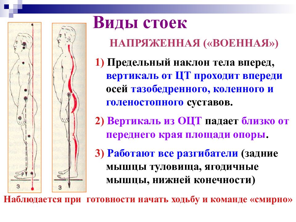 Биомеханика презентация казакша