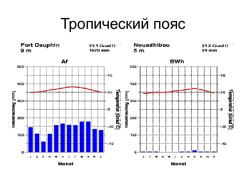 Тропический пояс климатограмма. Климата грамма тропического пояса. Климатограммы тропического пояса. Климатограмма тропического климата. Тропический пустынный климат климатограмма.