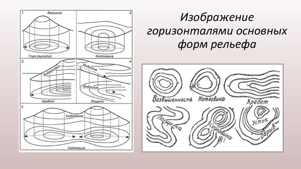 Рисунок формы рельефа. Изображение горизонталями основных форм рельефа. Изображение основных форм рельефа горизонталями на карте. Изображение рельефа изолиниями горизонталями. Рельеф изображение рельефа горизонталями.