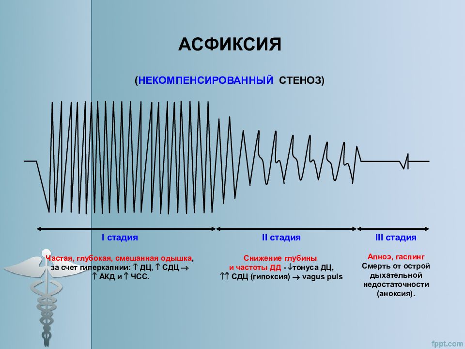 Возбуждаешь звука. Асфиксия патофизиология. Этапы асфиксии. Фазы развития асфиксии. Асфиксия стадии течения.