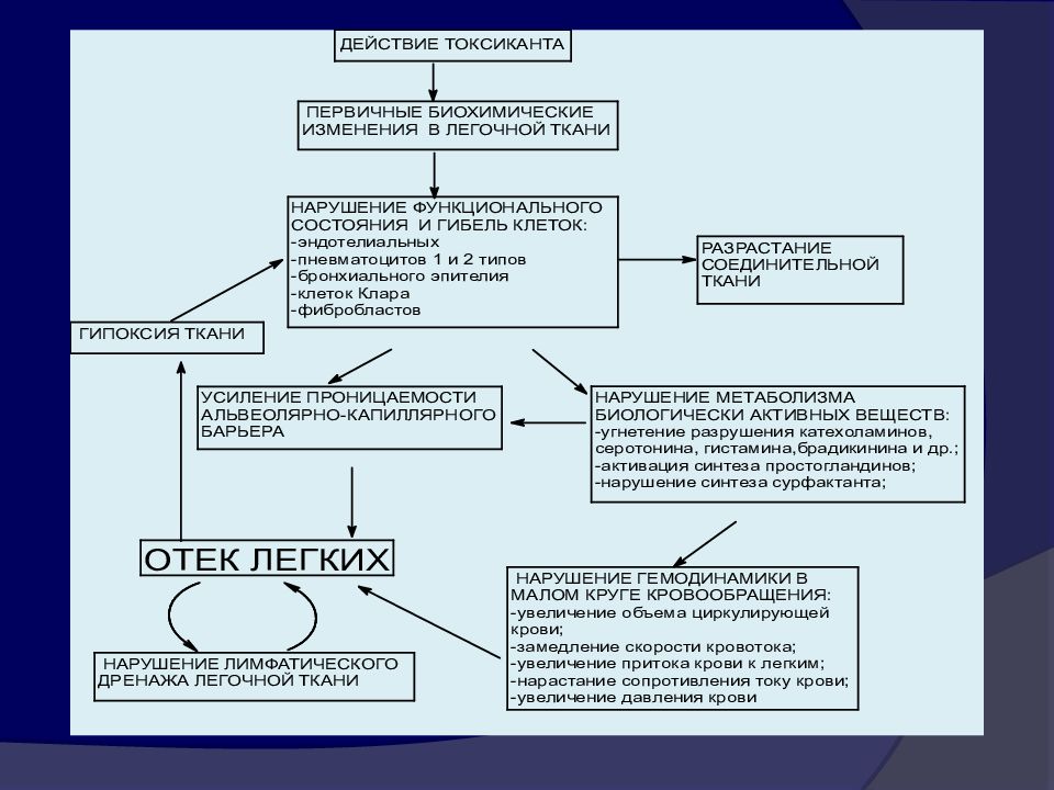 Легкое действие. Механизмы формирования токсического отека легких. Механизм развития отека легких схема. Пульмонотоксиканты механизм действия. Токсический отек механизм развития.
