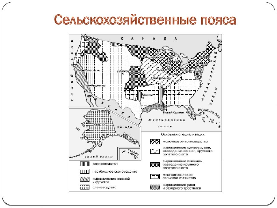 Пояс сша. Сельскохозяйственные пояса США таблица. Сельское хозяйство США карта. Развитие сельского хозяйства в США В конце 19 века. Хозяйство США схема.