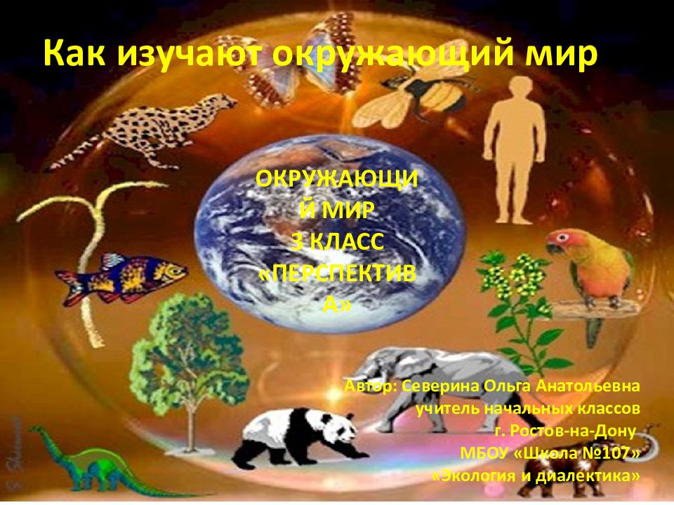 Как изучают окружающий мир
