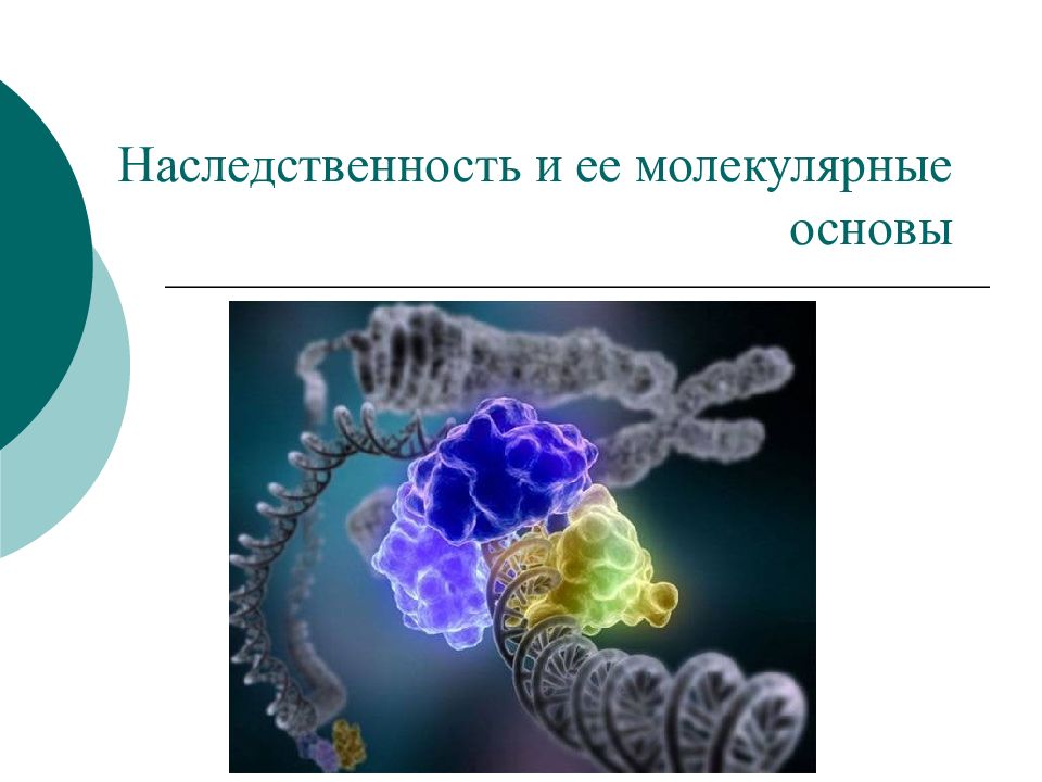 Молекулярные основы. Молекулярно-генетические основы наследственности. Молекулярные основы наследственности. Молекулярные основы наследственности генетика. Молекулярные основы наследственности человека.