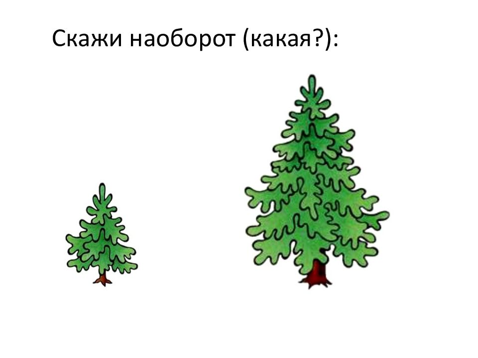 Рисунки высокий низкий. Высокий - низкий. Высокий низкий для детей. Елочки большие и маленькие. Высокая и низкая елочка.