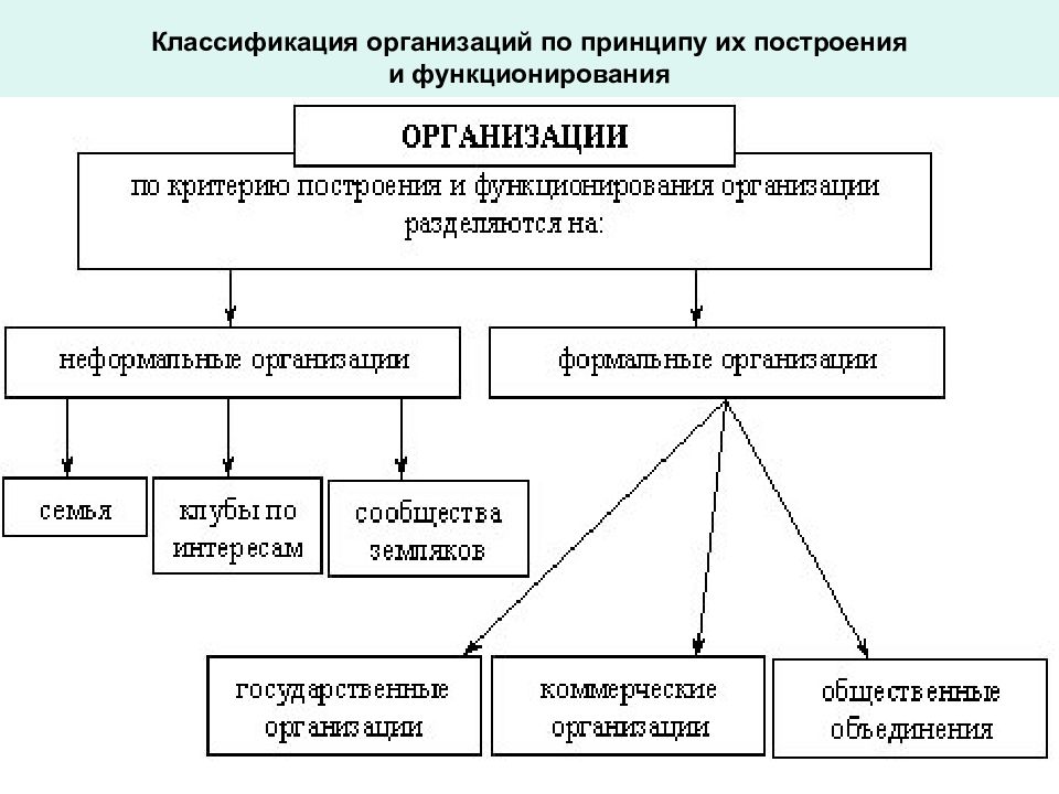 Виды фирм схема