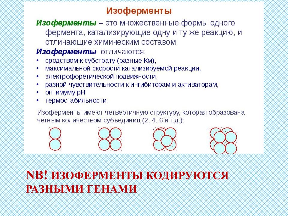 Определение и примеры изоферментов