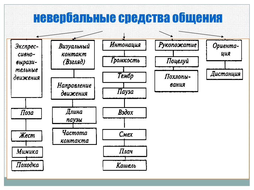 Виды невербального общения. Невербальные средства общения. Основные невербальные средства общения. Невербальные средства общения это в психологии. Невербальное общение схема.