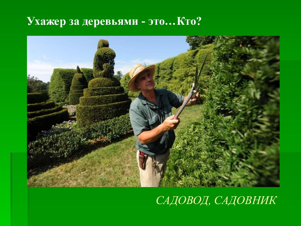 Садовод это. Профессия садовник. Садовод профессия. Садовод специальность. Профессии садоводства.