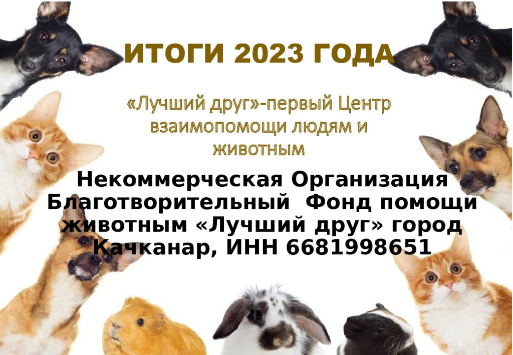 ИТОГИ 2023 ГОДА «Лучший друг»-первый Центр взаимопомощи людям и животным