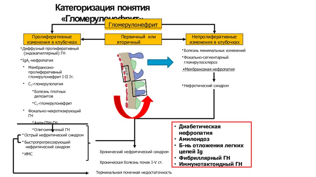 Лечение гломерулонефрита схема рекомендации у детей