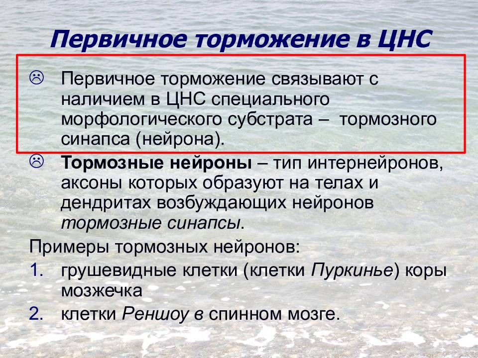 Торможение в цнс физиология презентация