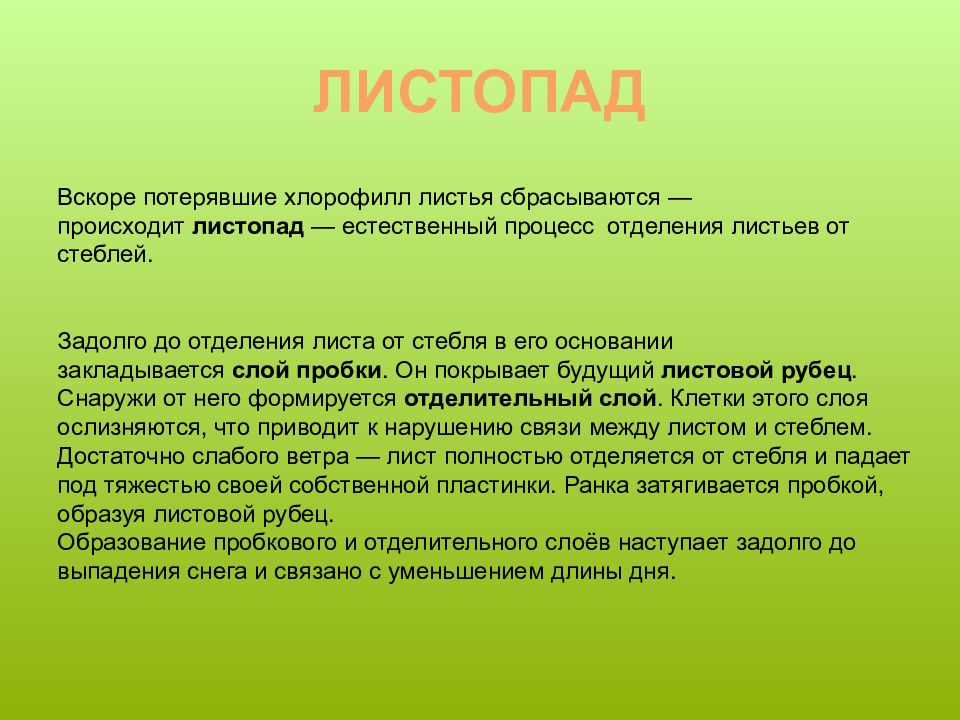 Расскажите суть процесса транспирации. Листопад и транспирация. 6.Суточный ход транспирации.. Задания урокам биологии. Транспирация.1. что такое транспирация?.