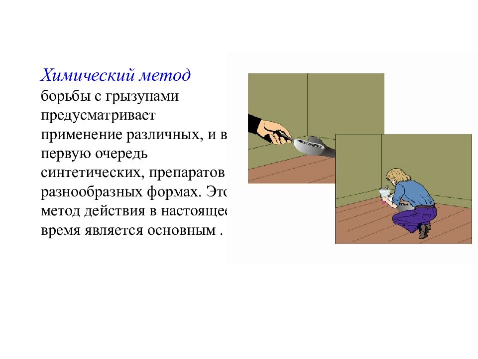 Предусмотренное использование. Химические методы борьбы с грызунами. Химический метод- методы борьбы с грызунами. Описать способы и средства борьбы с грызунами. Химический способ борьбы с грызунами старые и современные препараты.