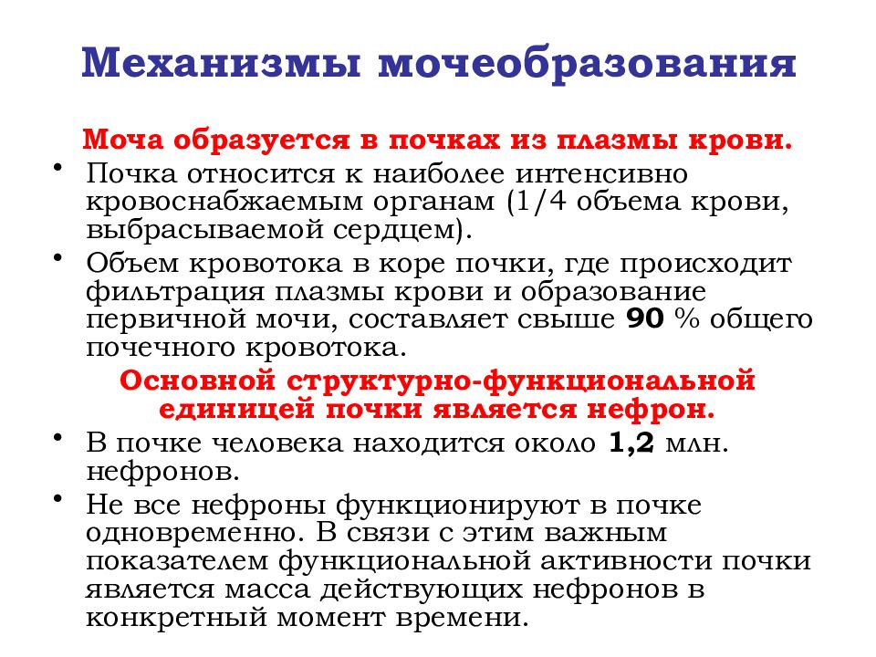 Наиболее интенсивно. Механизм мочеобразования. Основные процессы мочеобразования. Физиологические механизмы мочеобразования. Механизм мочеобразования кратко.