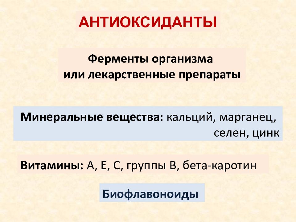 Презентация антропология наука о человеке 11 класс