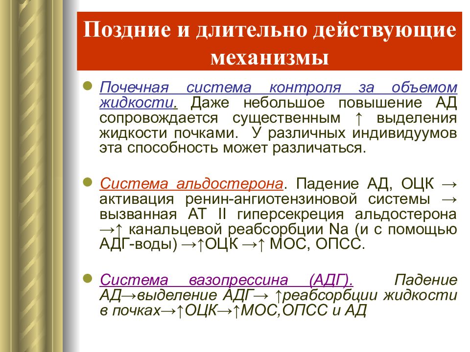 Длительно действующее. Почечная система контроля за объемом жидкости. Длительные механизмы саногенеза. Саногенез механизмы долговременные. Длительно действующие.