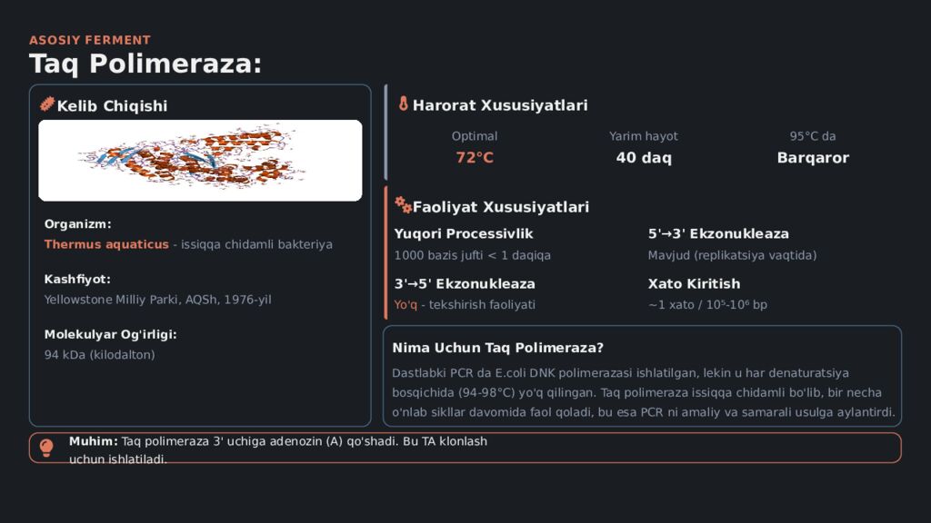 Polimeraza Zanjir Reaksiyasi PCR Usuli Molekulyar Biologiyaning Inqilobiy