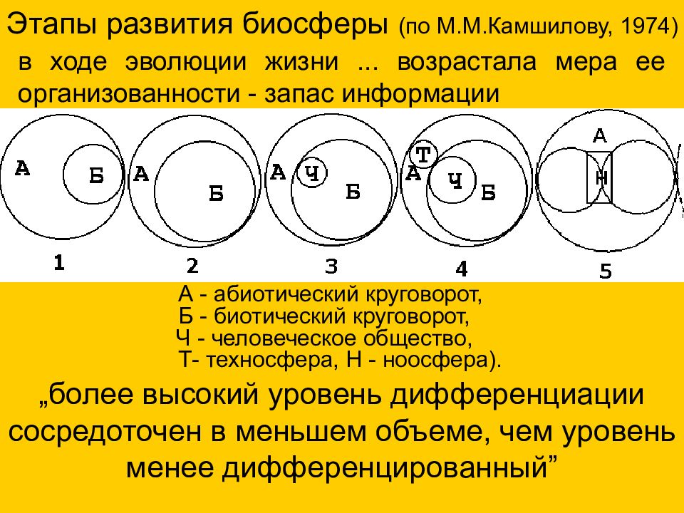 Этапы биосферы. Этапы развития биосферы по Камшилову. Стадии развития биосферы. Стадии эволюции биосферы по Камшилову. Стадии развития биосферы (по м. м. Камшилову, с изменениями.