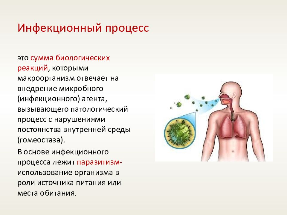 Факторы развития инфекционных болезней. Инфекционный процесс это. Инфекционный процесс это определение. Составляющие инфекционного процесса. Инфекция процесс.