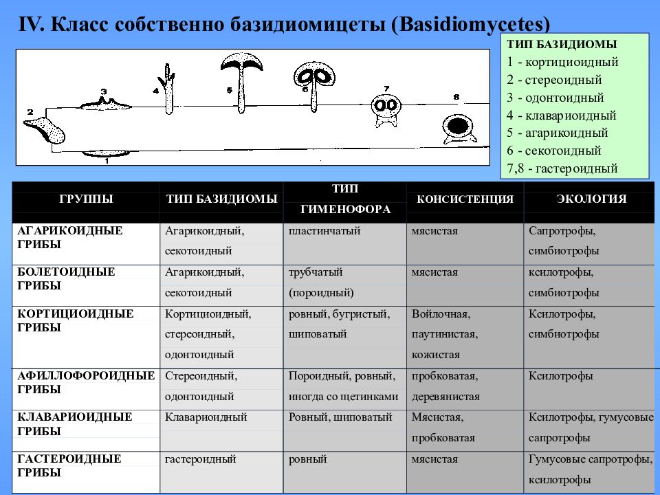 Используя рисунки 126 и 136 охарактеризуйте основные особенности строения и образа жизни изученных