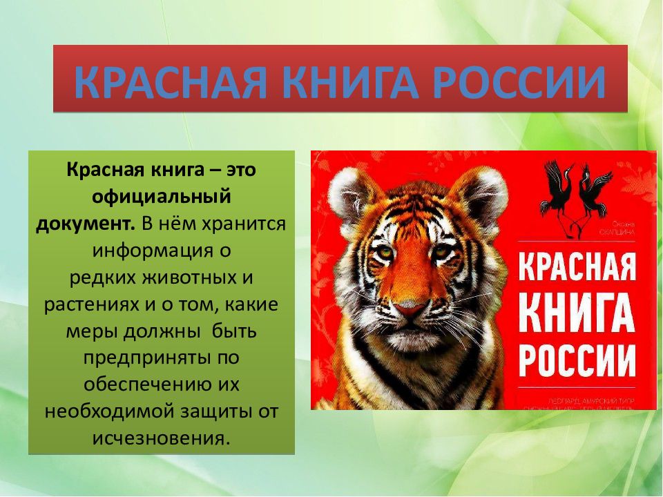 Красная книга – это официальный документ.  В нём хранится информация о