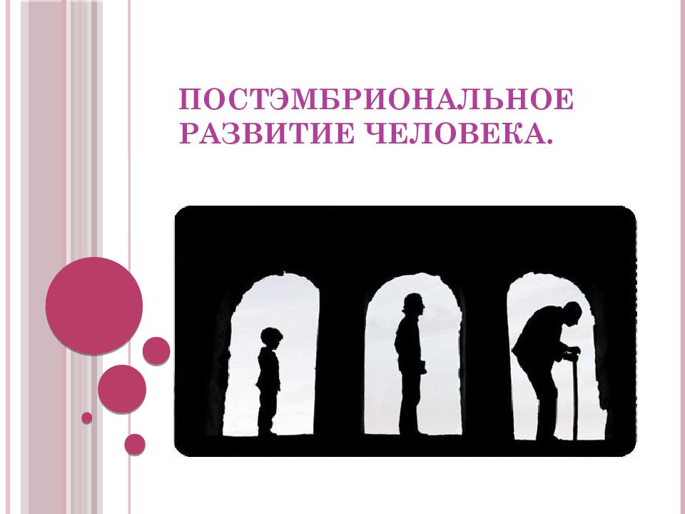 Постэмбриональное развитие человека.