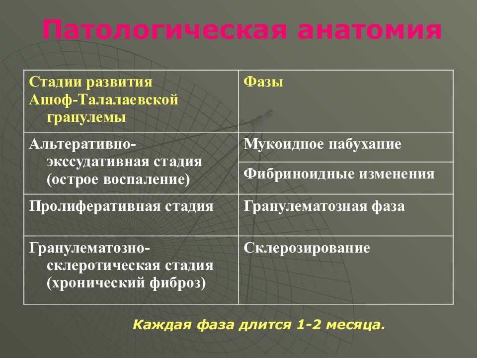 Ревматизм этиология патогенез. Ревматизм стадии развития. Стадии развития ревматической гранулемы. Этапы развития ревматической гранулемы.