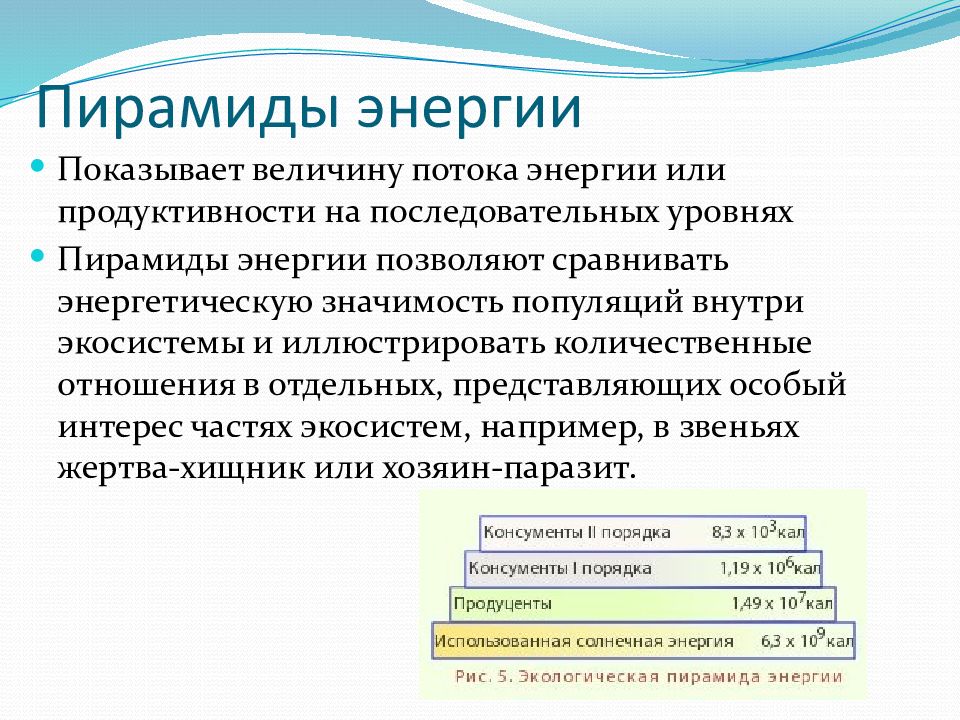 Пирамиды энергии задачи. Пирамида энергии. Экологическая пирамида. Пирамида энергии показывает. Закон пирамиды энергии.