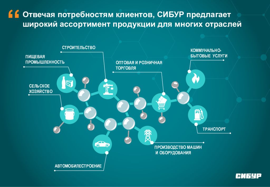 Социальные проекты сибур