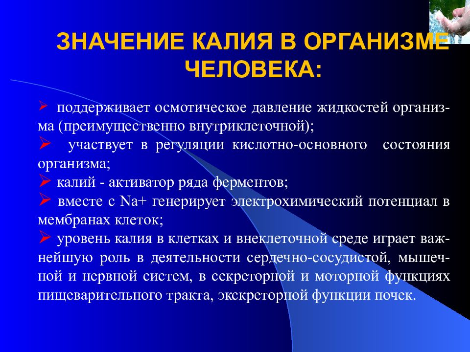 Значимый источник. Значение калия в организме человека. Значение калия. Калий значение для организма. Роль калия в организме человека.